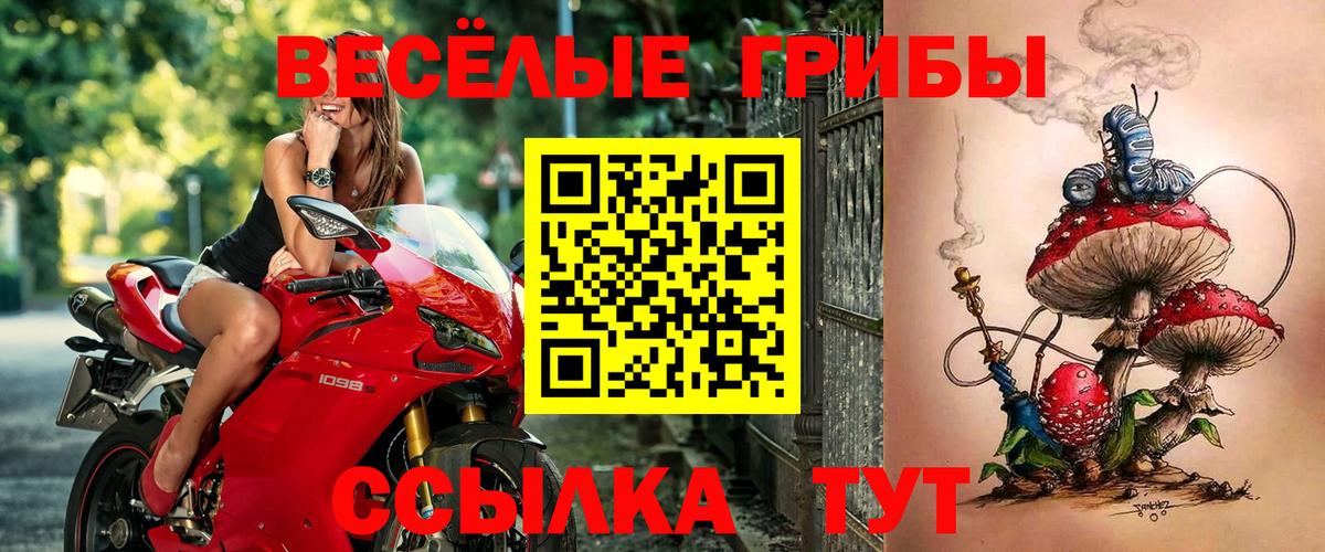 Ачхой-Мартан  Псилоцибиновые грибы ЛСД  Псилоцибиновые грибы MAGIC MUSHROOMS  Вход с VPN 